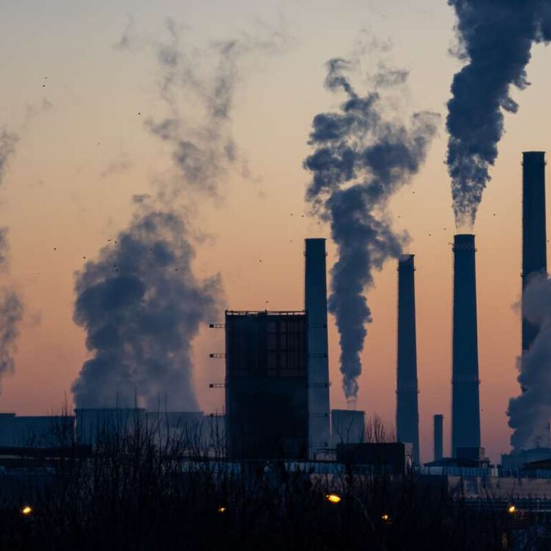 News headline thumbnail for Introducing the Healthy Air Coalition’s Chair